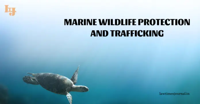 Marine wildlife protection and trafficking Marine wildlife protection and trafficking